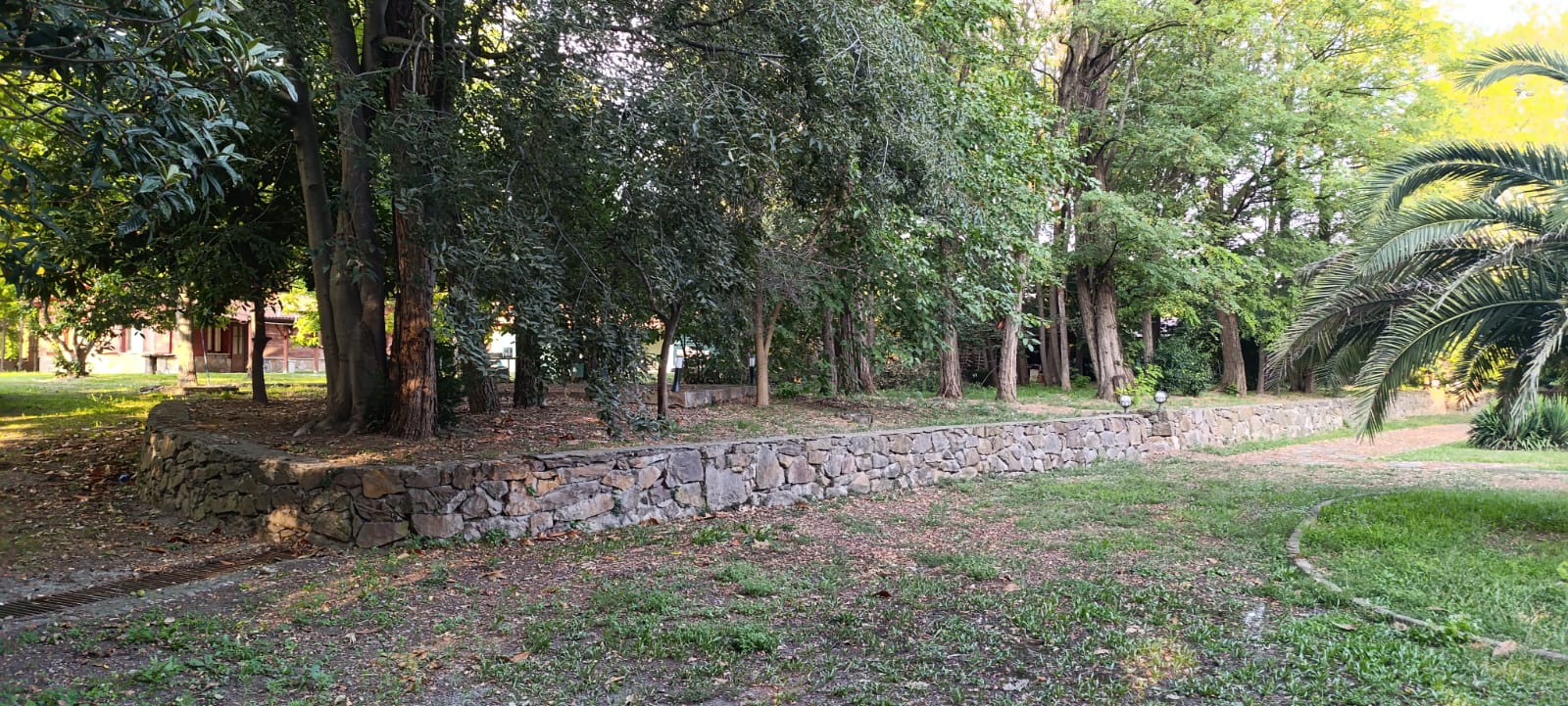 Arifiye